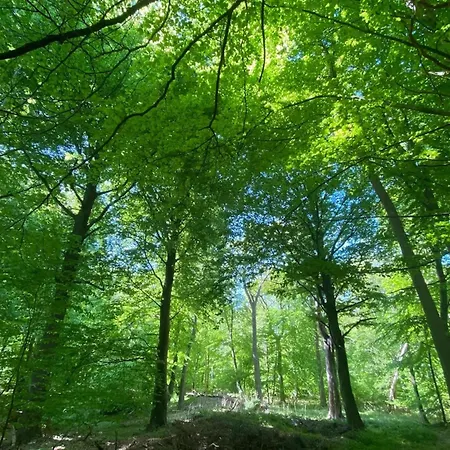 Prázdninový dům Haus In Bodstedt Mit Sauna Am Bodden