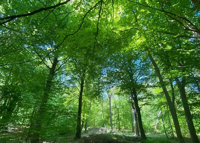 Vakantiehuis Haus In Bodstedt Mit Sauna Am Bodden
